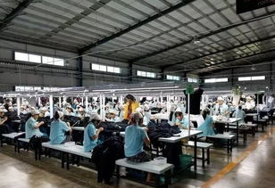 东南亚针织 万人工厂 震撼世界 国内针织生产面临挑战